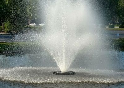 Pinckney Well Drilling & Geothermal | Coastal areas of SC and GA | fountain in pond